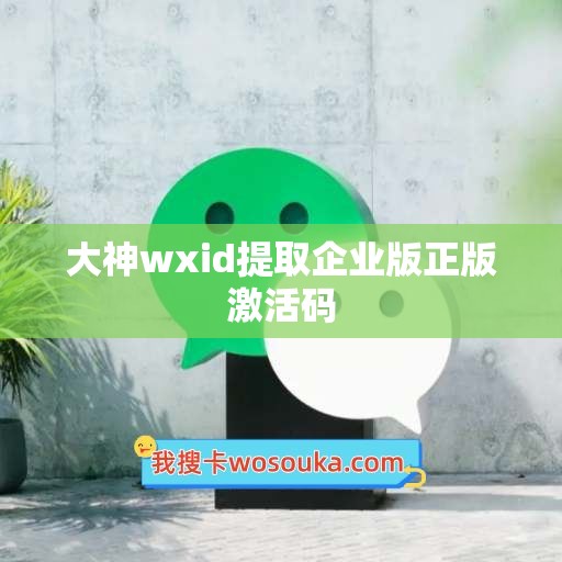 大神wxid提取企业版正版激活码