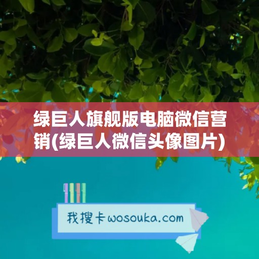 绿巨人旗舰版电脑微信营销(绿巨人微信头像图片)