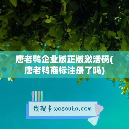 唐老鸭企业版正版激活码(唐老鸭商标注册了吗)