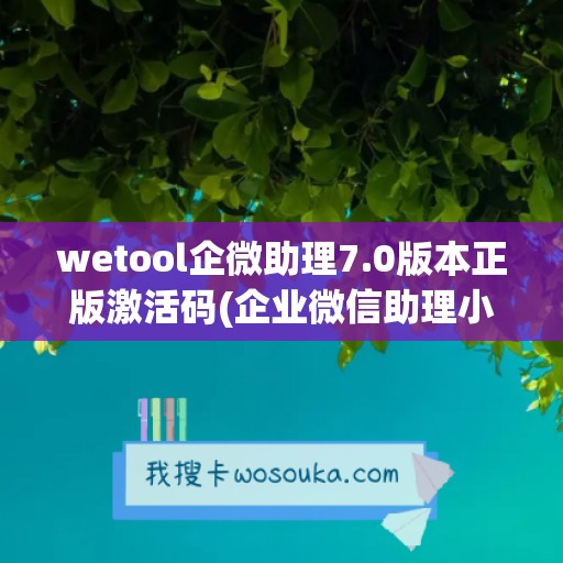 wetool企微助理7.0版本正版激活码(企业微信助理小薇在哪里)