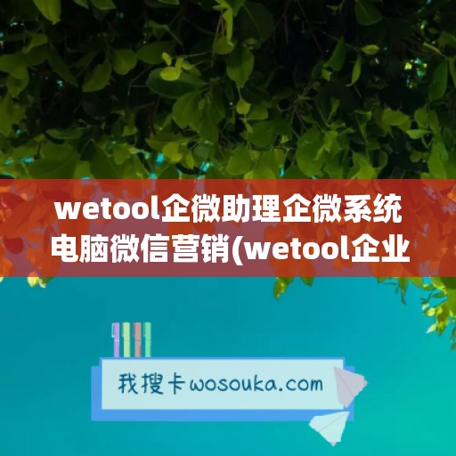 wetool企微助理企微系统电脑微信营销(wetool企业微信版)