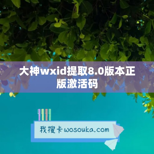 大神wxid提取8.0版本正版激活码