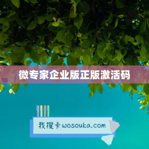 微专家企业版正版激活码