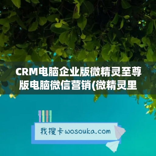 CRM电脑企业版微精灵至尊版电脑微信营销(微精灵里面做任务安全吗)