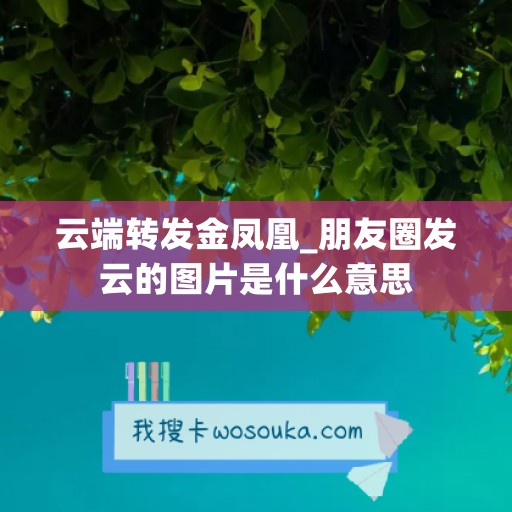 云端转发金凤凰_朋友圈发云的图片是什么意思