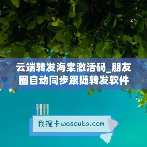 云端转发海棠激活码_朋友圈自动同步跟随转发软件有哪些
