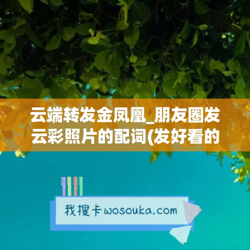 云端转发金凤凰_朋友圈发云彩照片的配词(发好看的云彩照片的说说)