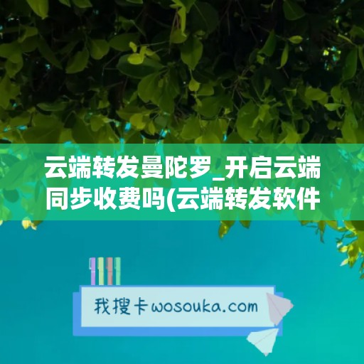 云端转发曼陀罗_开启云端同步收费吗(云端转发软件安全吗)