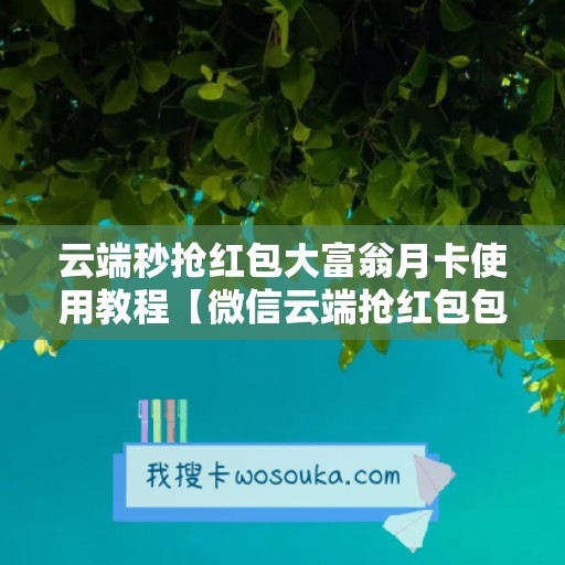 云端秒抢红包大富翁月卡使用教程【微信云端抢红包包包喵月卡激活码】