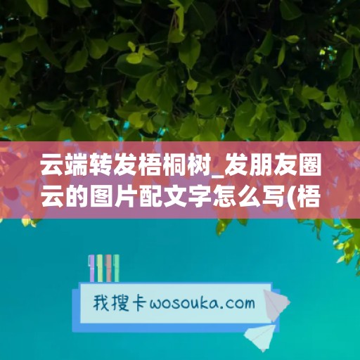 云端转发梧桐树_发朋友圈云的图片配文字怎么写(梧桐树朋友圈文案)