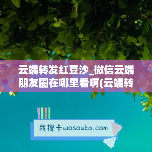 云端转发红豆沙_微信云端朋友圈在哪里看啊(云端转发哪个好用)