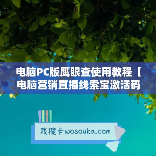 电脑PC版鹰眼查使用教程【电脑营销直播线索宝激活码】