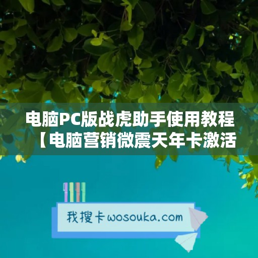 电脑PC版战虎助手使用教程【电脑营销微震天年卡激活码】