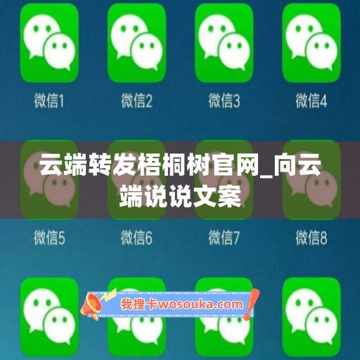 云端转发梧桐树官网_向云端说说文案