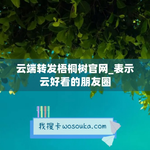 云端转发梧桐树官网_表示云好看的朋友圈