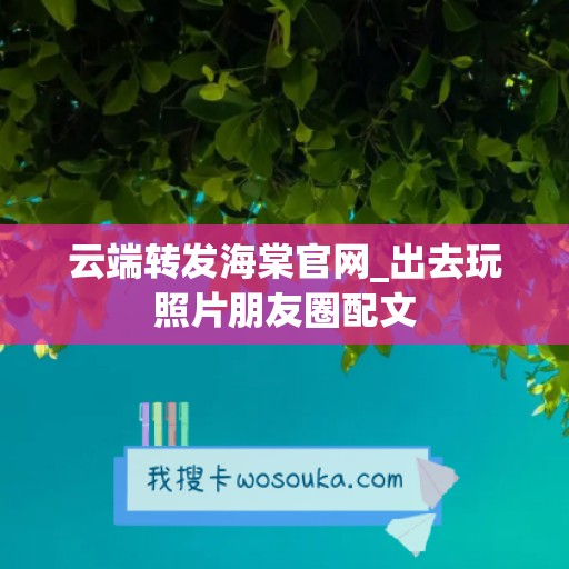 云端转发海棠官网_出去玩照片朋友圈配文