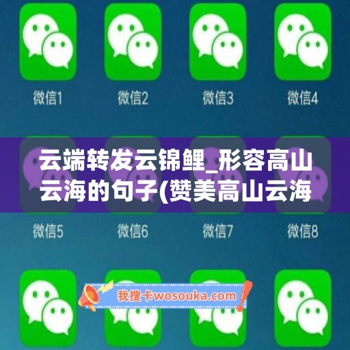 云端转发云锦鲤_形容高山云海的句子(赞美高山云海)