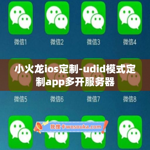 小火龙ios定制-udid模式定制app多开服务器