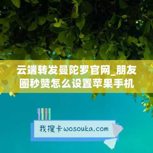 云端转发曼陀罗官网_朋友圈秒赞怎么设置苹果手机 云端转发曼陀罗官网_朋友圈秒赞怎么设置苹果手机