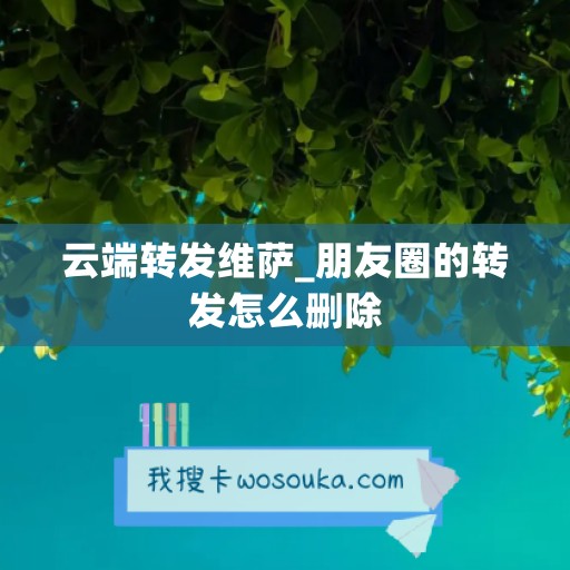 云端转发维萨_朋友圈的转发怎么删除 云端转发维萨_朋友圈的转发怎么删除