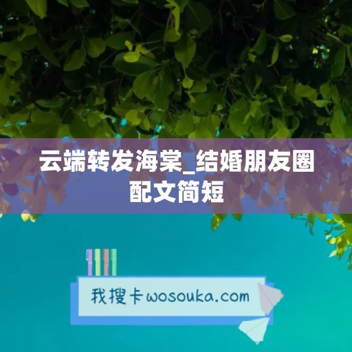 云端转发海棠_结婚朋友圈配文简短 云端转发海棠_结婚朋友圈配文简短
