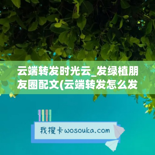 云端转发时光云_发绿植朋友圈配文(云端转发怎么发朋友圈)