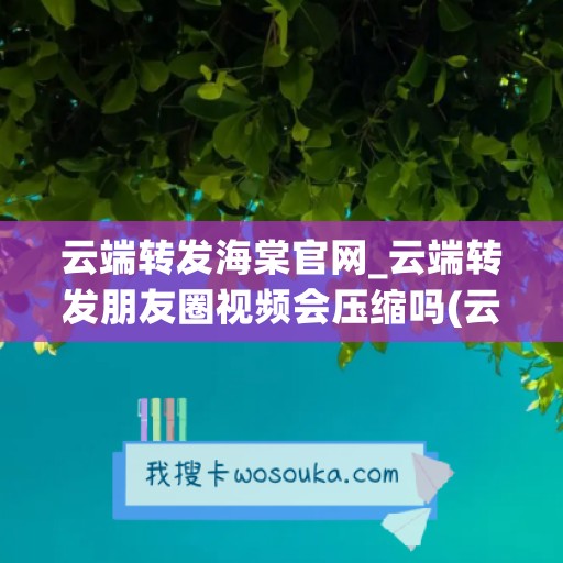 云端转发海棠官网_云端转发朋友圈视频会压缩吗(云端转发长视频原理)
