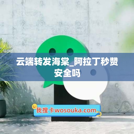 云端转发海棠_阿拉丁秒赞安全吗