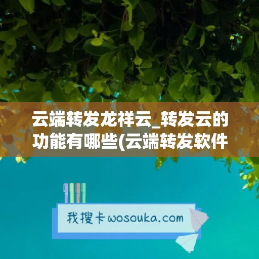 云端转发龙祥云_转发云的功能有哪些(云端转发软件哪个可靠)