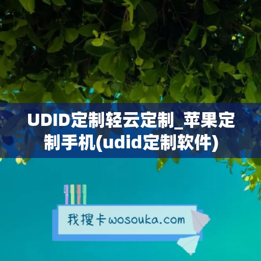 UDID定制轻云定制_苹果定制手机(udid定制软件)