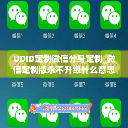 UDID定制微信分身定制_微信定制版永不升级什么意思呀