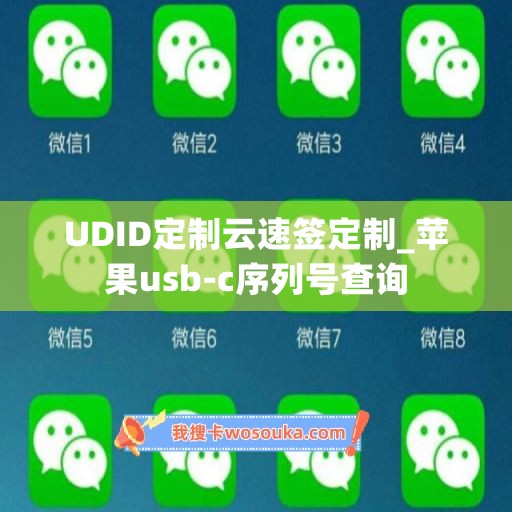 UDID定制云速签定制_苹果usb-c序列号查询