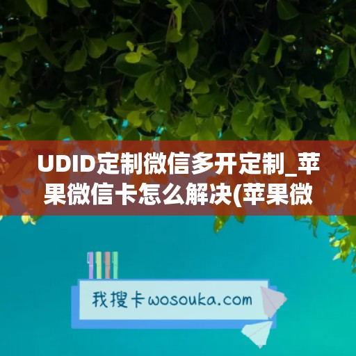 UDID定制微信多开定制_苹果微信卡怎么解决(苹果微信多开发卡)