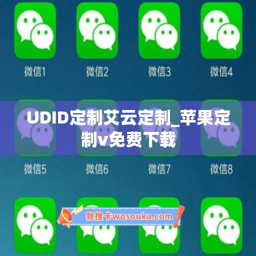 UDID定制艾云定制_苹果定制v免费下载