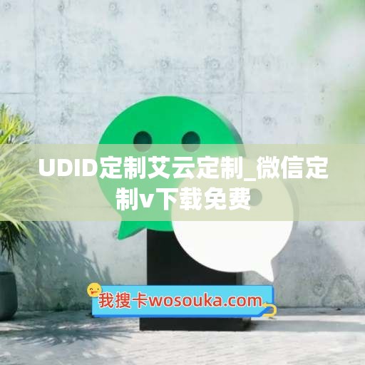 UDID定制艾云定制_微信定制v下载免费