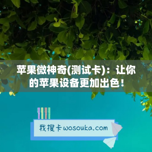 苹果微神奇(测试卡)：让你的苹果设备更加出色！