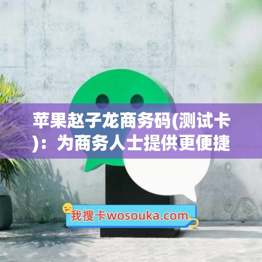 苹果赵子龙商务码(测试卡)：为商务人士提供更便捷的通讯工具