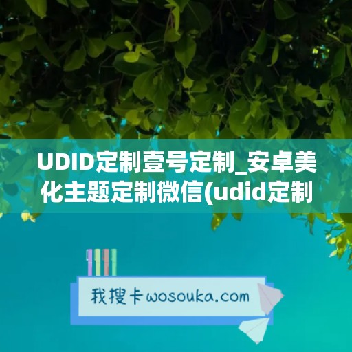 UDID定制壹号定制_安卓美化主题定制微信(udid定制有什么用)