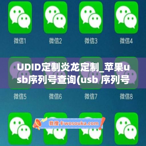 UDID定制炎龙定制_苹果usb序列号查询(usb 序列号)