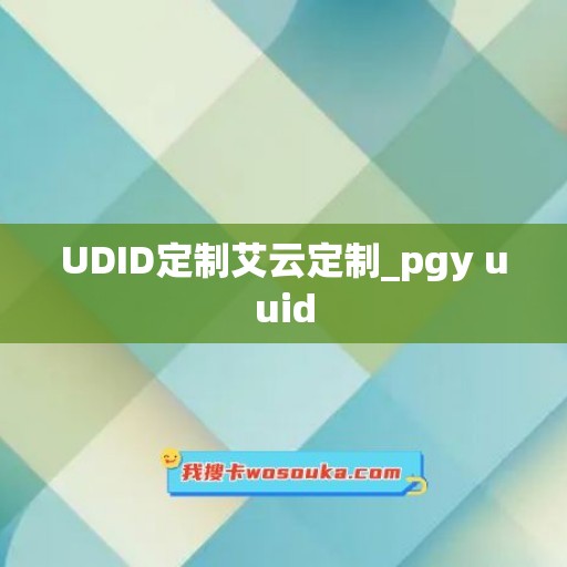 UDID定制艾云定制_pgy uuid