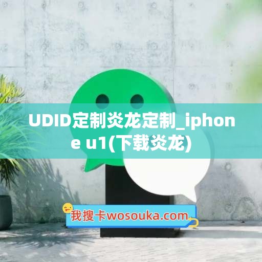 UDID定制炎龙定制_iphone u1(下载炎龙)