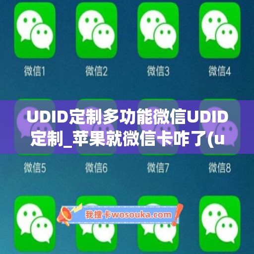 UDID定制多功能微信UDID定制_苹果就微信卡咋了(udid定制版微信原理)