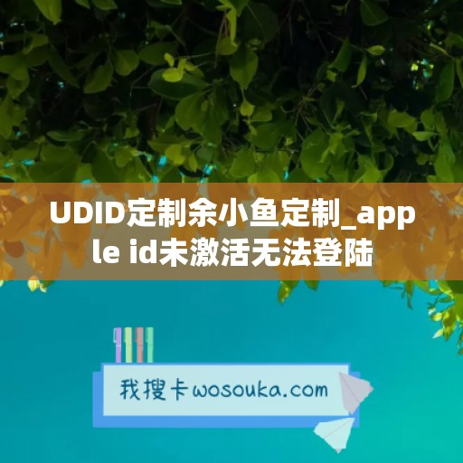 UDID定制余小鱼定制_apple id未激活无法登陆