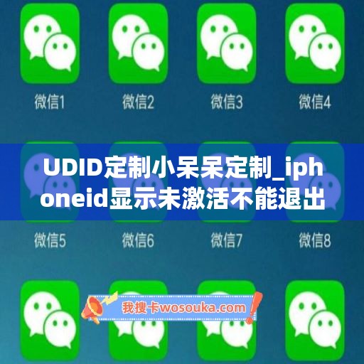 UDID定制小呆呆定制_iphoneid显示未激活不能退出(iphoneid未激活什么意思)