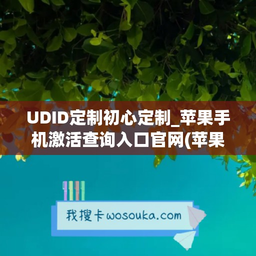 UDID定制初心定制_苹果手机激活查询入口官网(苹果udid定制证书有什么用)