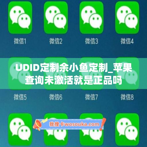 UDID定制余小鱼定制_苹果查询未激活就是正品吗