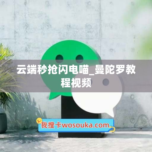 云端秒抢闪电喵_曼陀罗教程视频