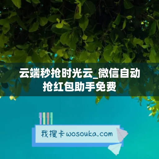 云端秒抢时光云_微信自动抢红包助手免费