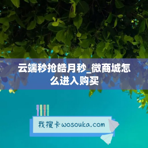 云端秒抢皓月秒_微商城怎么进入购买