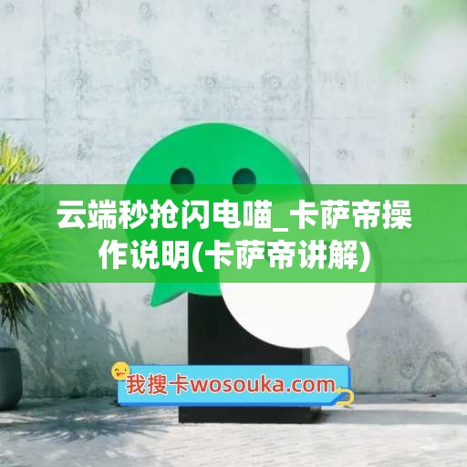 云端秒抢闪电喵_卡萨帝操作说明(卡萨帝讲解)